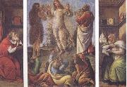 Sandro Botticelli Transfiguration,with St Jerome(at left) and St Augustine(at right) Germany oil painting artist